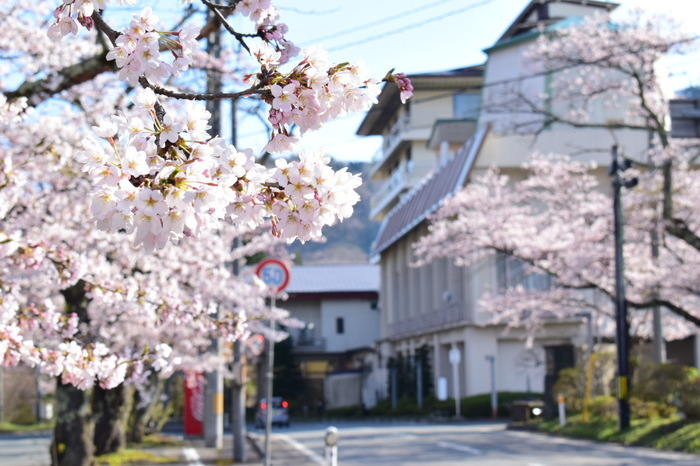 11603BB7-AF47-4DE9-97E8-5744A091B717.jpeg