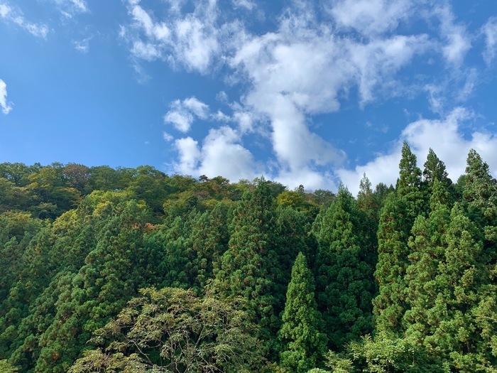 D620BC52-7A9F-4A2D-A45D-04A9C3A98143.jpeg