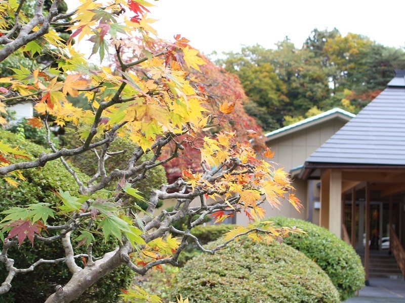 紅葉 2019.10.26.jpg