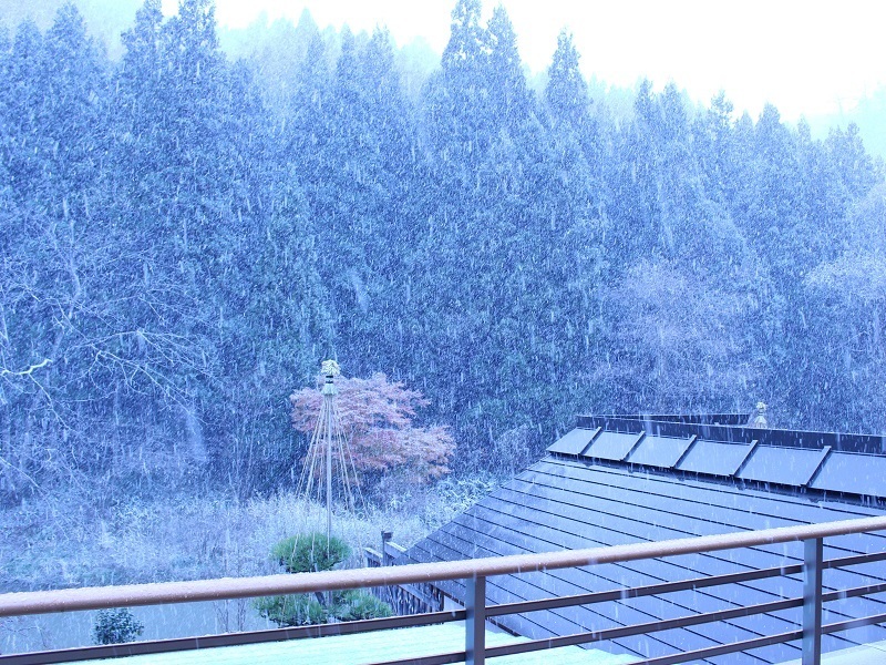 雪 2019.11.29.jpg